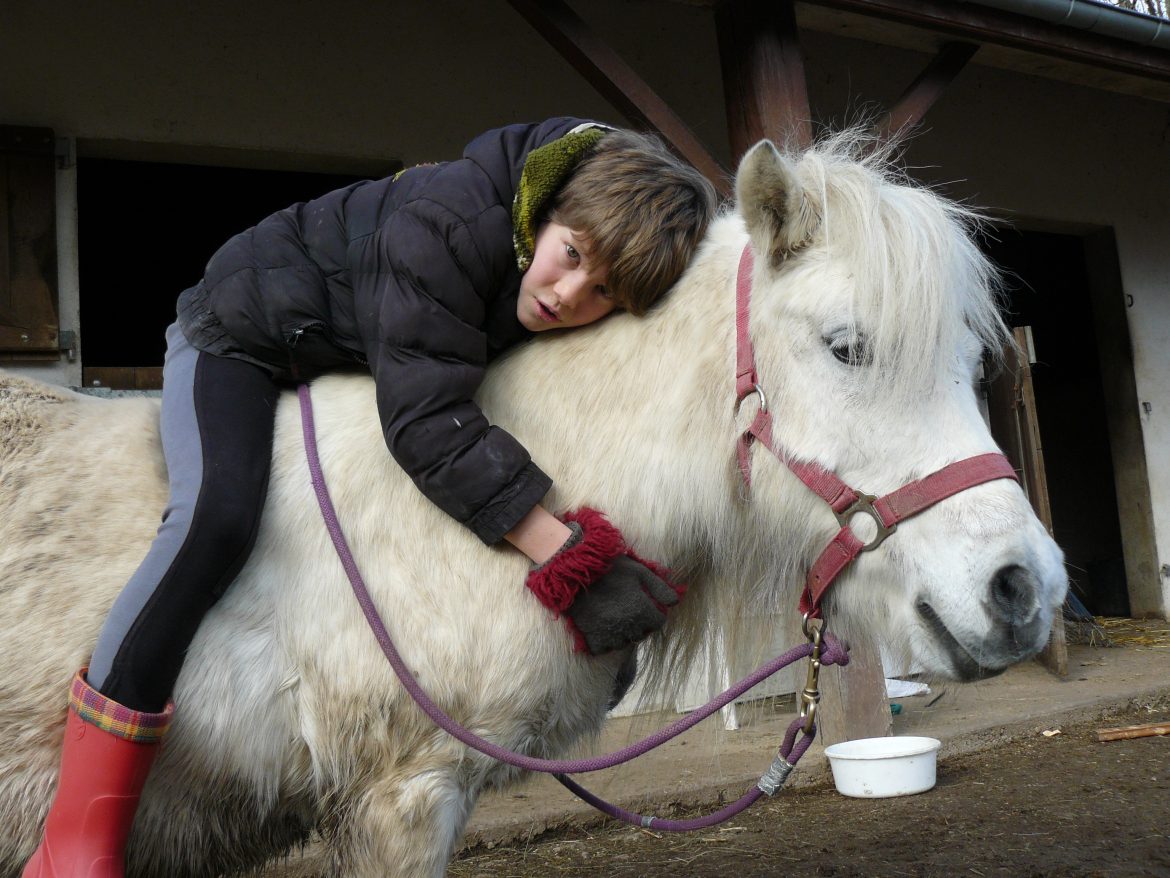 Thérapie avec le cheval (2)