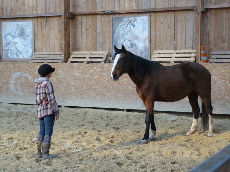 Equitation sensitive (2)